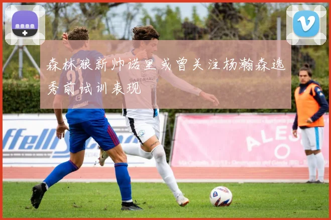 森林狼新帅诺里或曾关注杨瀚森选秀前试训表现