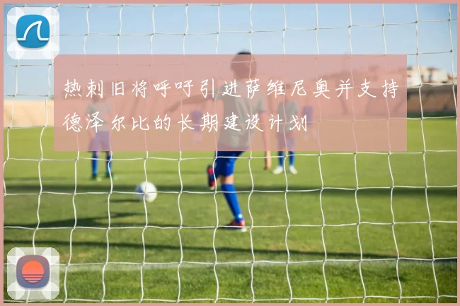 热刺旧将呼吁引进萨维尼奥并支持德泽尔比的长期建设计划